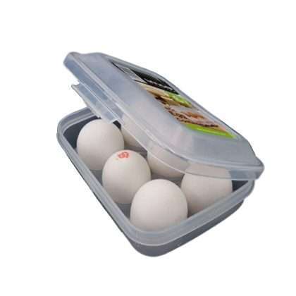 LIMON EGG CONTAINER 6 HOLE 1464/1207