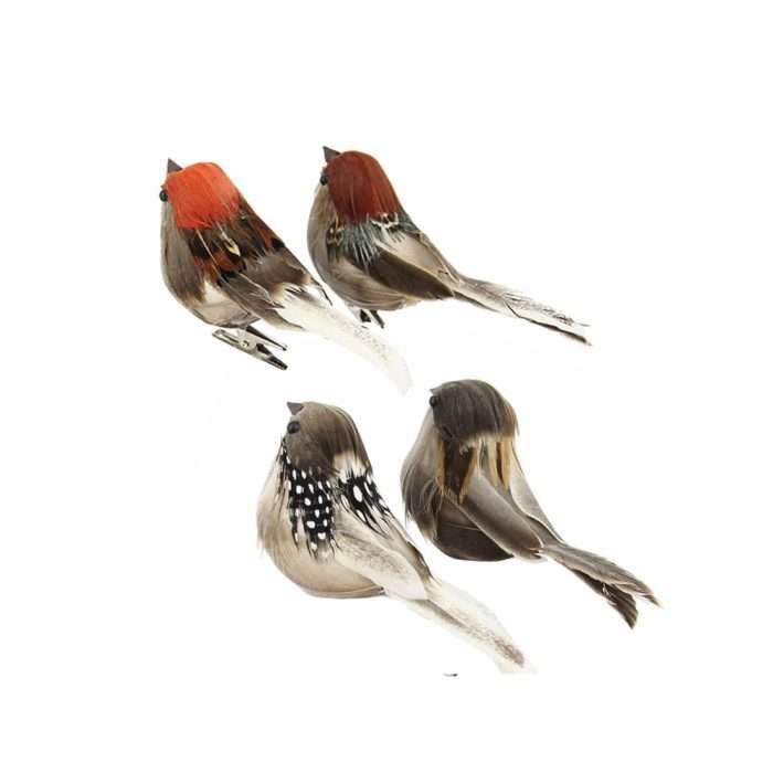 FANCY SPARROW (23)