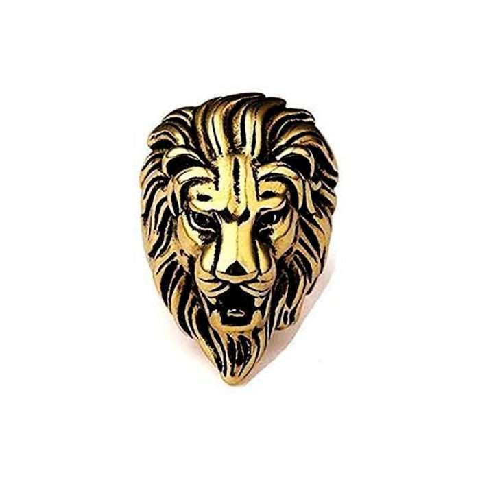 FANCY LION (17)