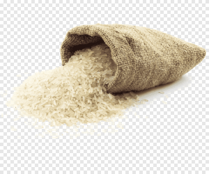 MSM DAILY BUDGET 1 Kg