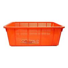 APPOLO AH - 122 ELEGENT BASKET MEDIUM - 05